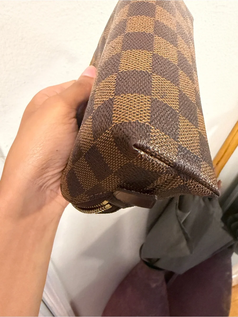 Louis Vuitton Cosmetic Pouch
